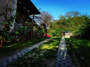 Casa de vacanta Zsenik Vendeghaz